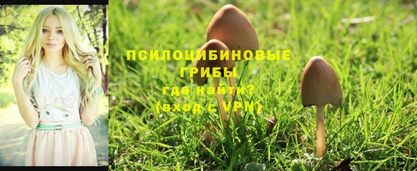 прущий лед Грязовец