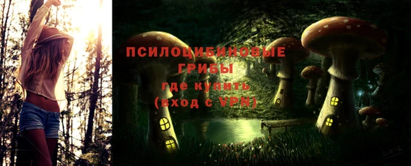 таблы Губаха