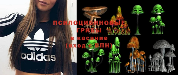 мдпв Покачи