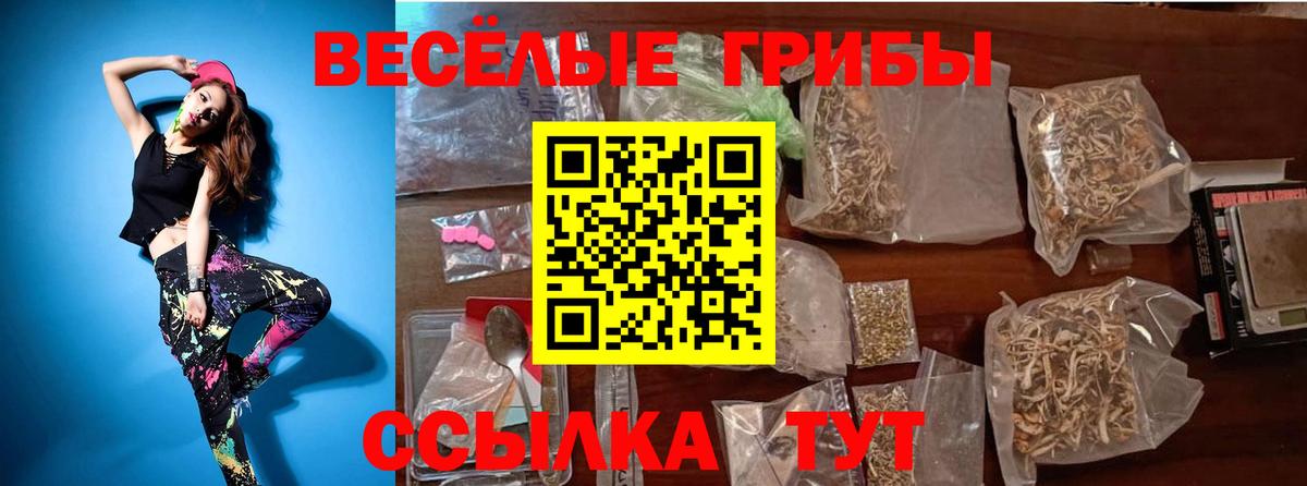 Галлюциногенные грибы GOLDEN TEACHER Белогорск