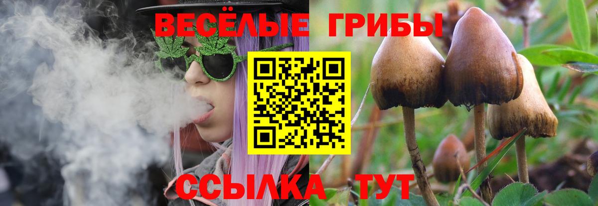 Псилоцибиновые грибы Cubensis  где продают наркотики  Белогорск  Галлюциногенные грибы GOLDEN TEACHER 